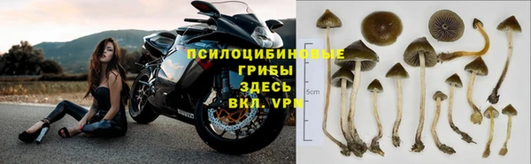 прущий лед Заводоуковск