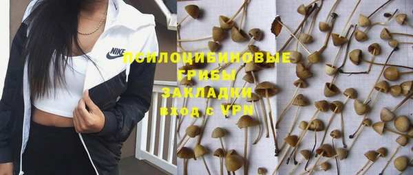 прущий лед Заводоуковск