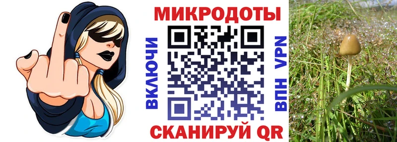 Псилоцибиновые грибы MAGIC MUSHROOMS Инза